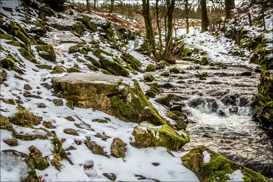 Tarn Hows walk Tarn Hows walk