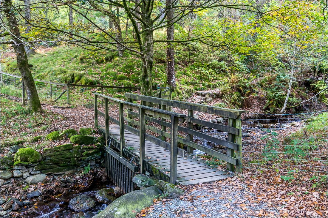 Tarn Hows walk, Glen Mary Tarn Hows walk, Glen Mary