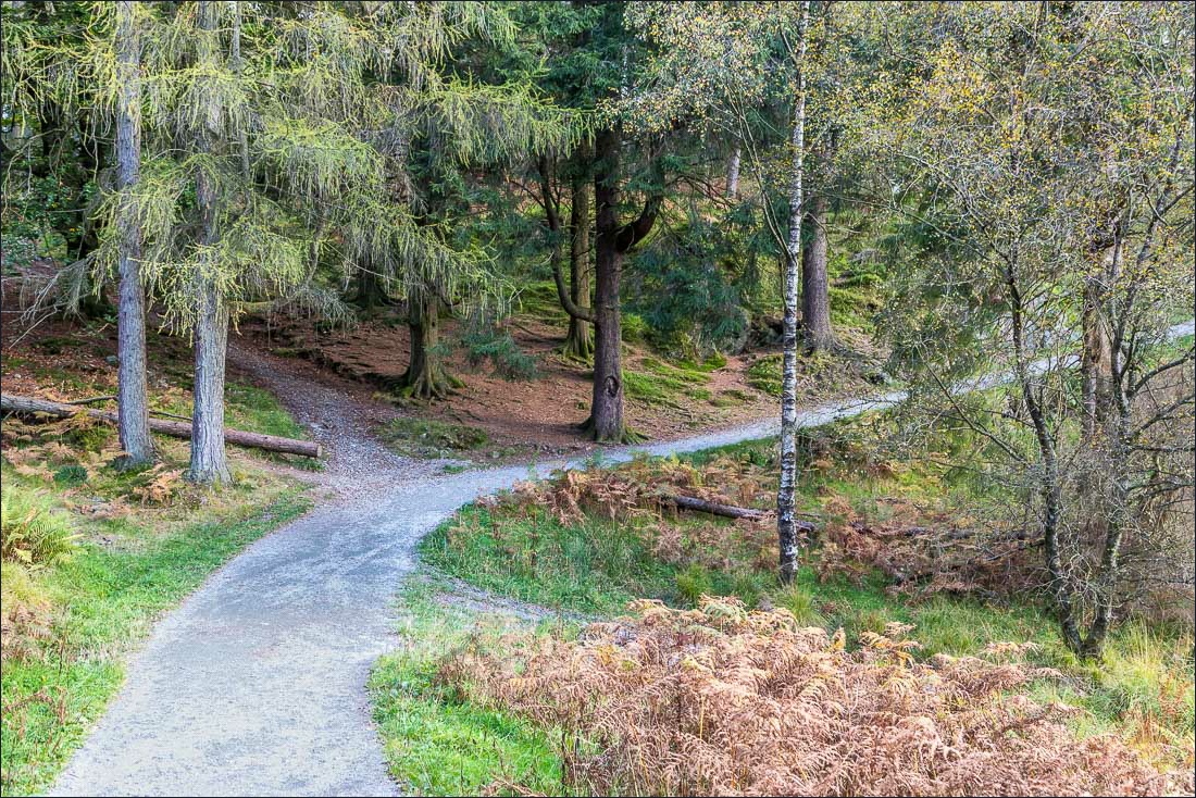 Tarn Hows walk Tarn Hows walk