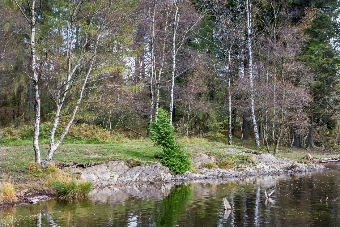 Tarn Hows walk Tarn Hows walk