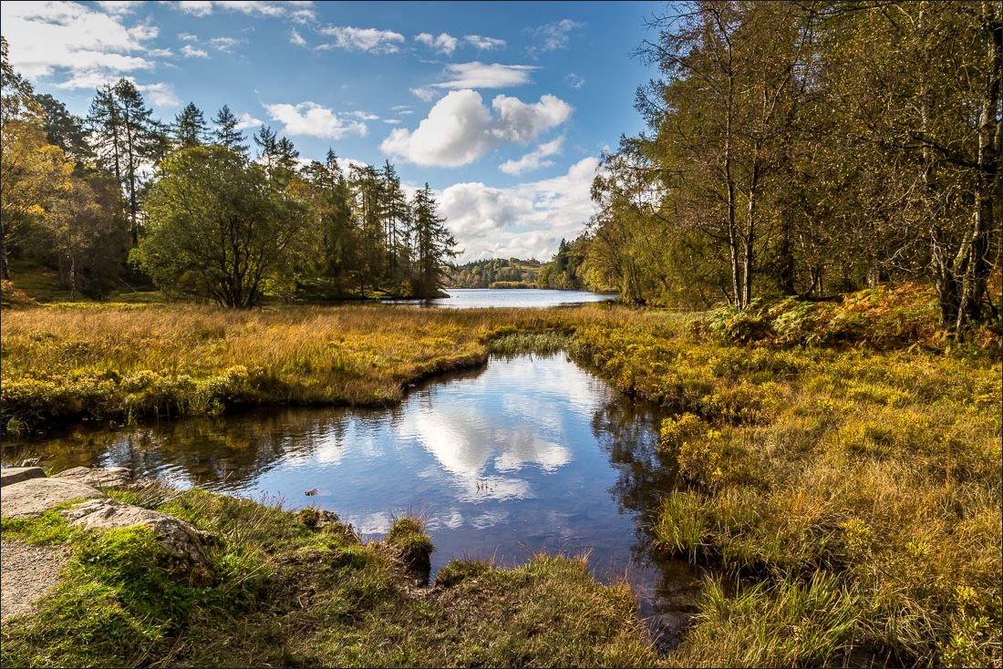 Tarn Hows walk Tarn Hows walk