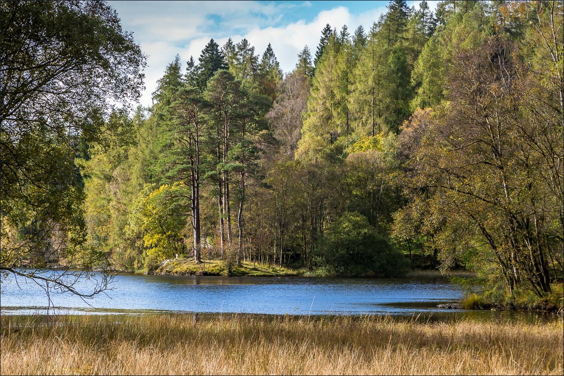 Tarn Hows walk Tarn Hows walk