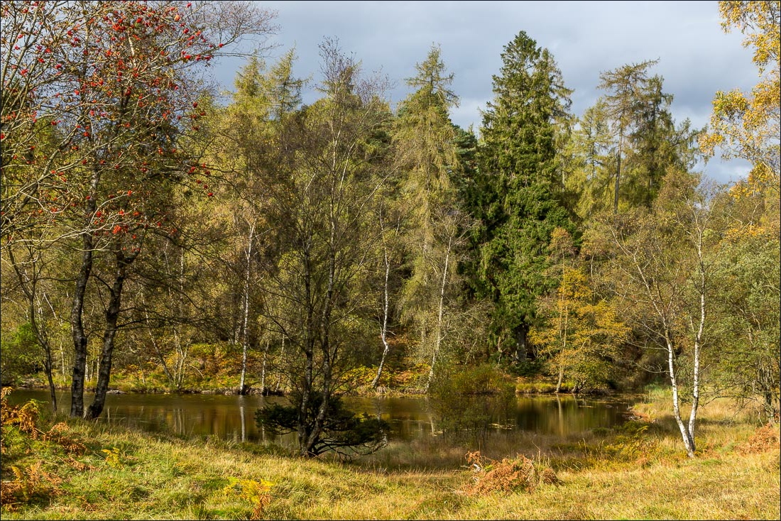 Tarn Hows walk Tarn Hows walk