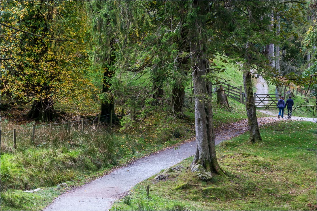 Tarn Hows walk Tarn Hows walk