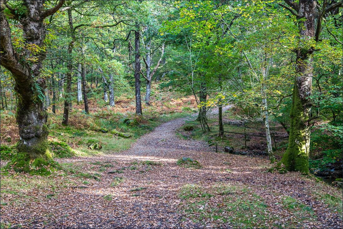 Tarn Hows walk, Tom Gill Tarn Hows walk, Tom Gill