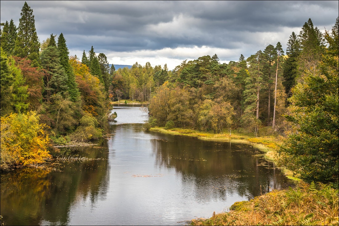 Tarn Hows walk Tarn Hows walk