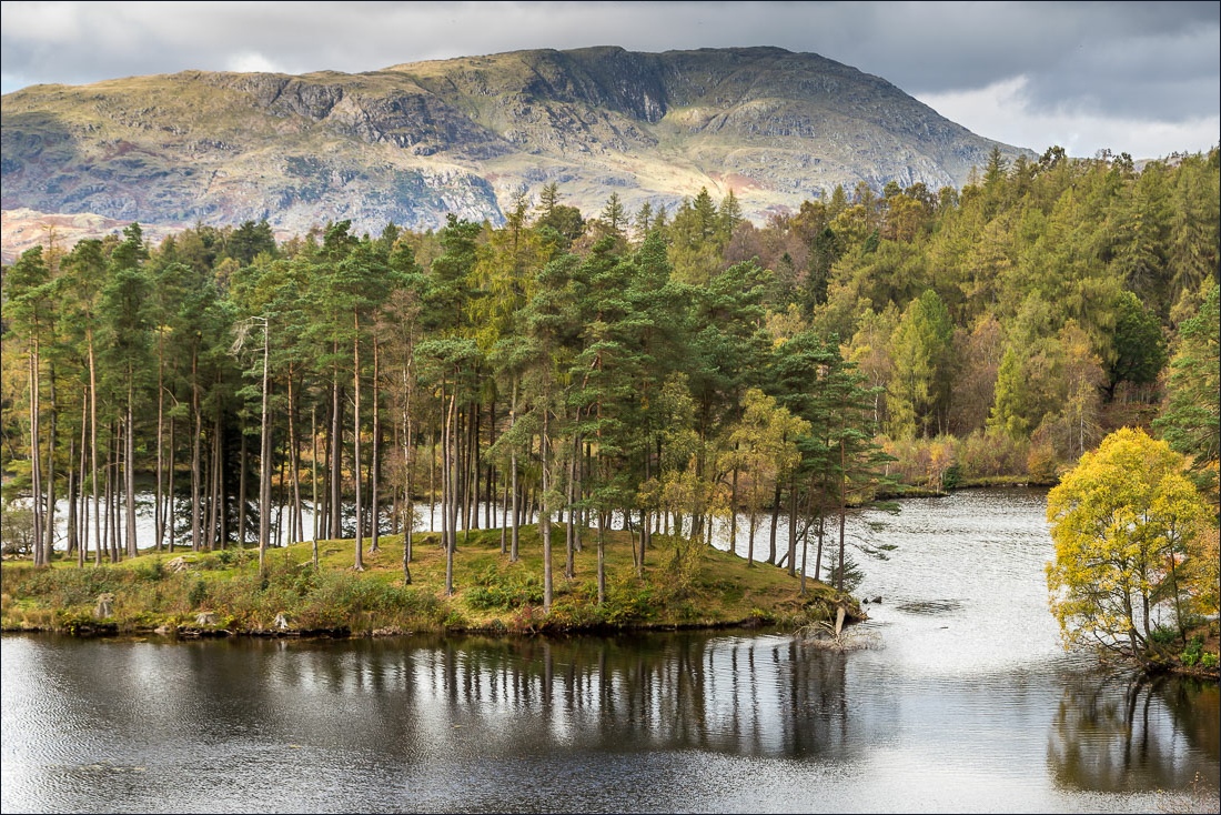 Tarn Hows walk Tarn Hows walk