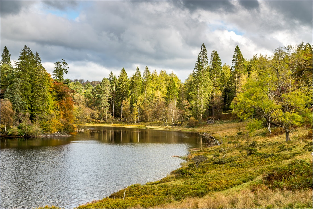 Tarn Hows walk Tarn Hows walk