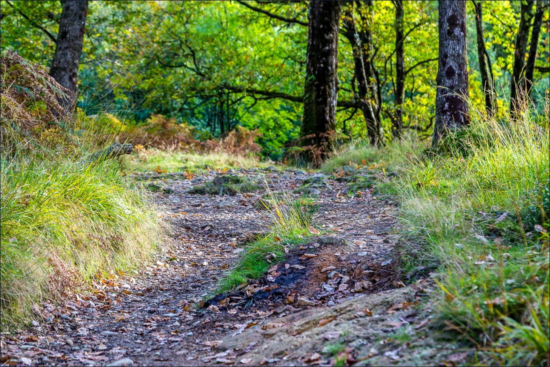 Tarn Hows walk Tarn Hows walk