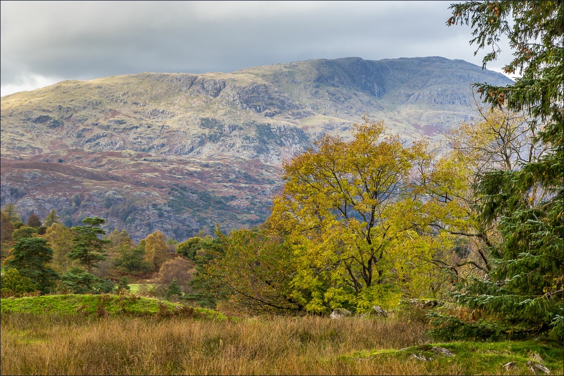 Tarn Hows walk, Wetherlam Tarn Hows walk, Wetherlam
