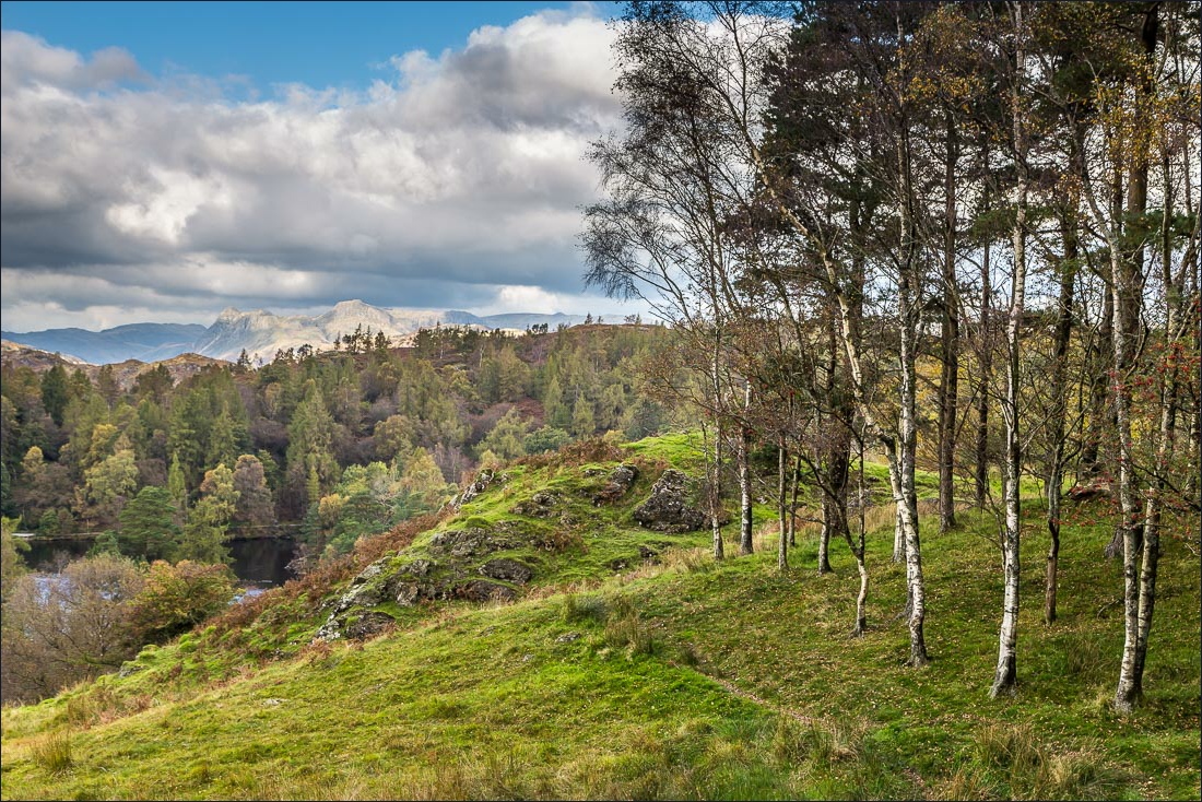 Tarn Hows walk, Langdale Pikes Tarn Hows walk, Langdale Pikes