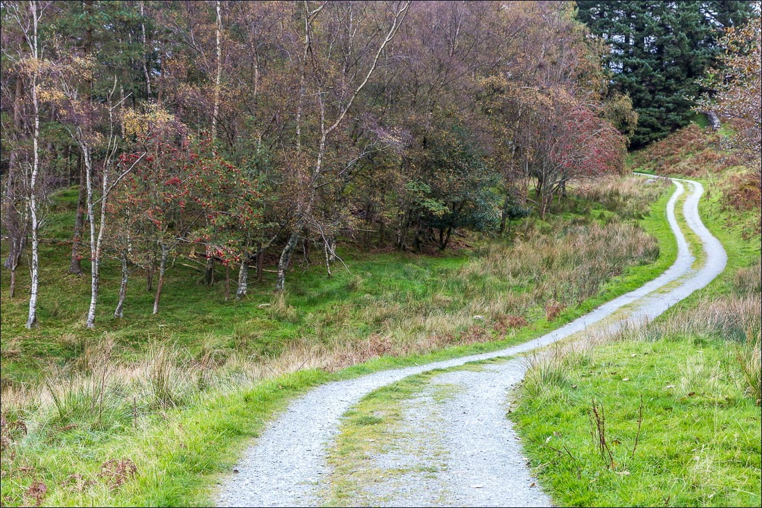 Tarn Hows walk Tarn Hows walk