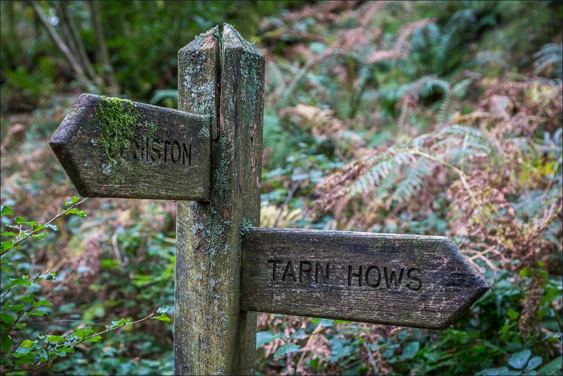 Tarn Hows walk Tarn Hows walk