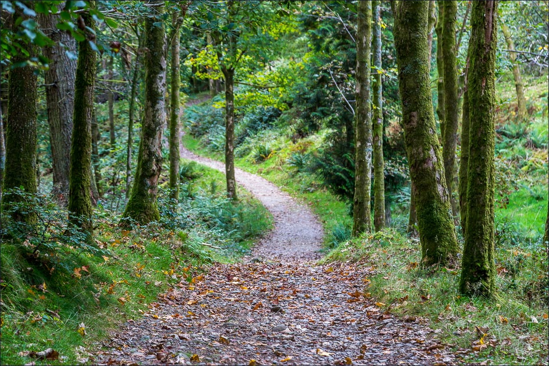 Tarn Hows walk Tarn Hows walk