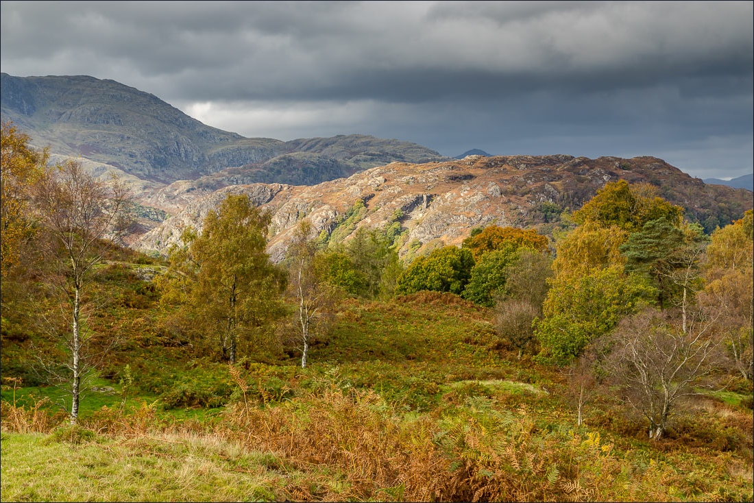 Tarn Hows walk Tarn Hows walk