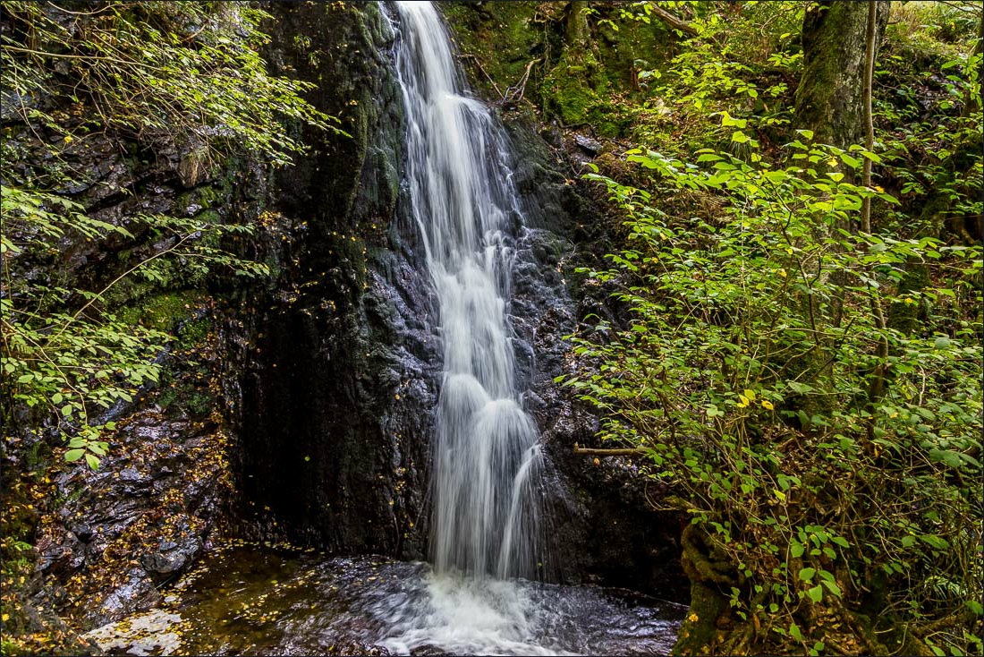 Tarn Hows walk, Tom Gill waterfalls Tarn Hows walk, Tom Gill waterfalls
