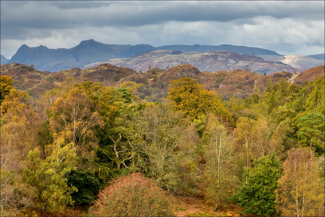 Tarn Hows walk Tarn Hows walk
