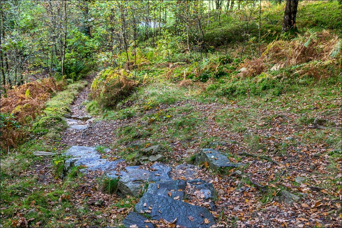 Tarn Hows walk Tarn Hows walk