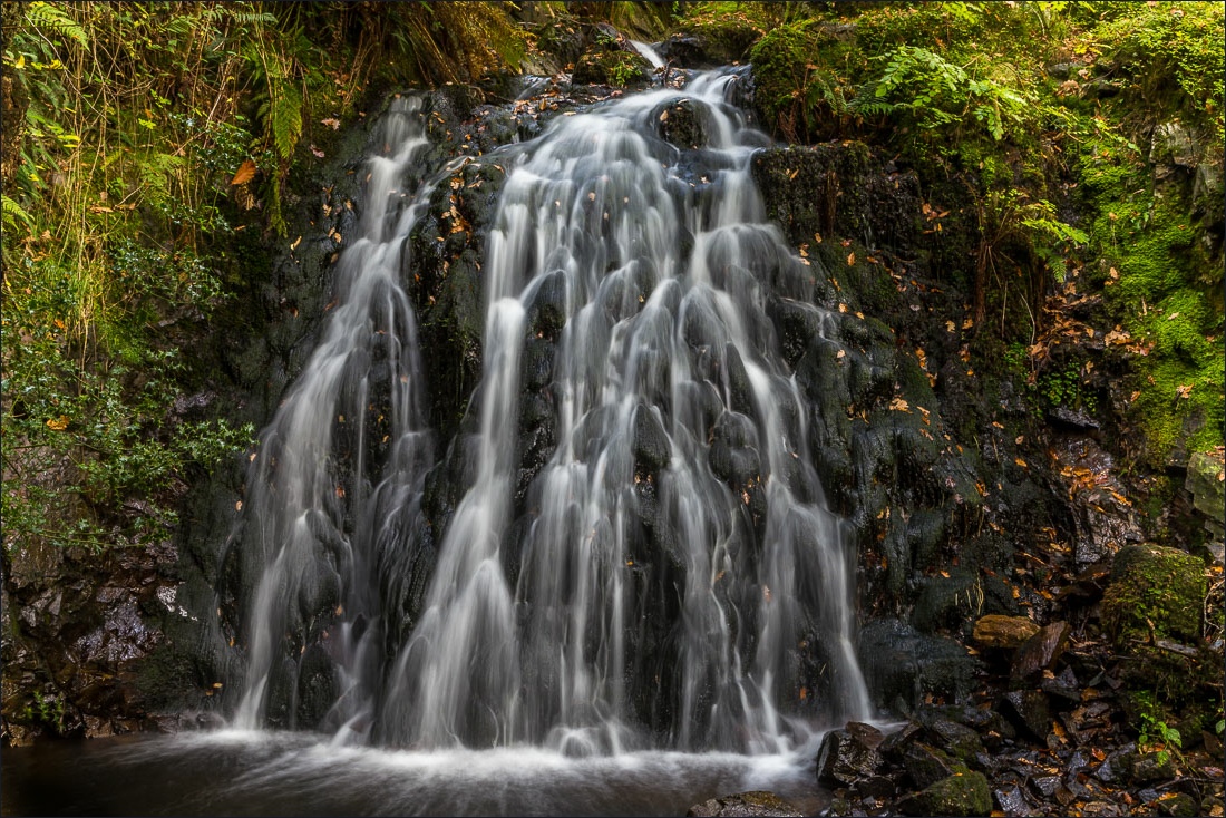 Tarn Hows walk, Tom Gill waterfalls