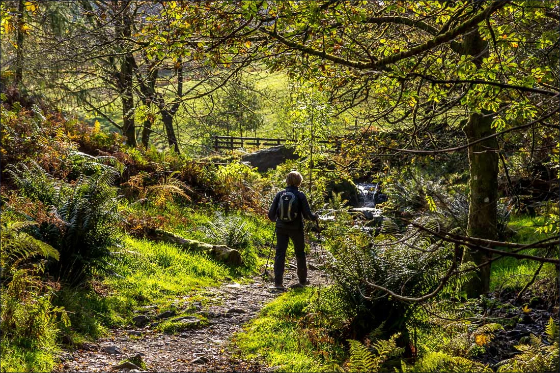 Tarn Hows walk Tarn Hows walk