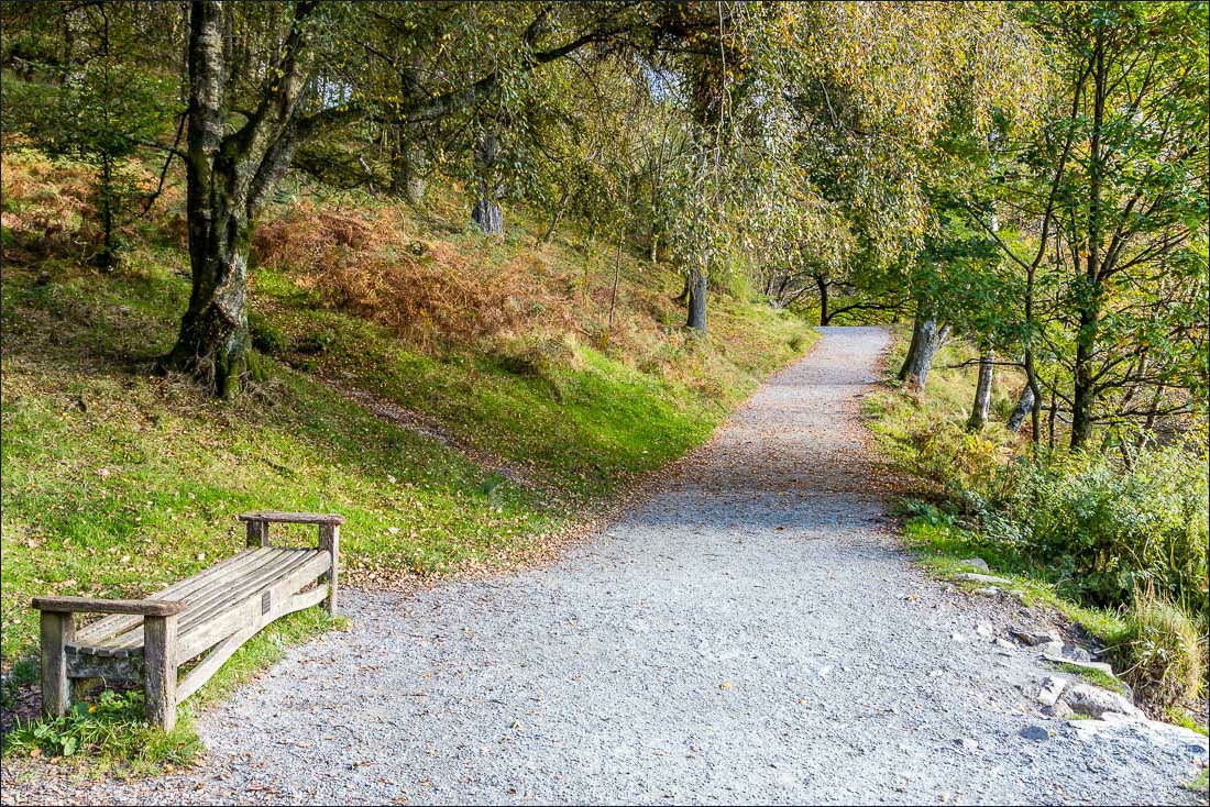 Tarn Hows walk Tarn Hows walk