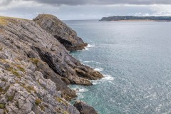 Tenby walk, Giltar Point