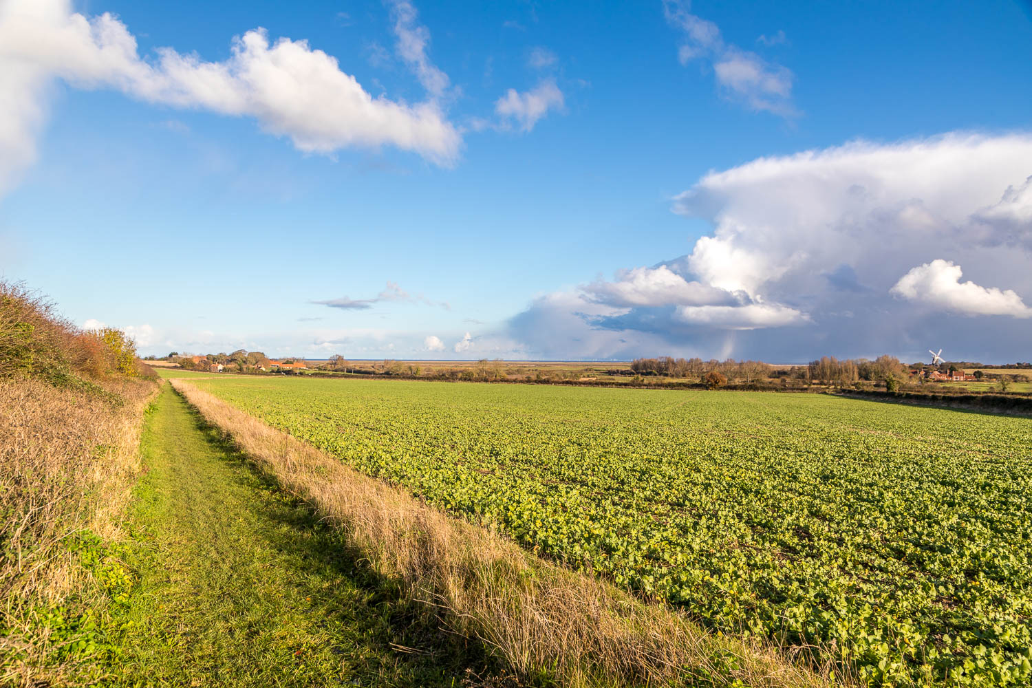 Burnham Overy Mill Burnham Overy Mill