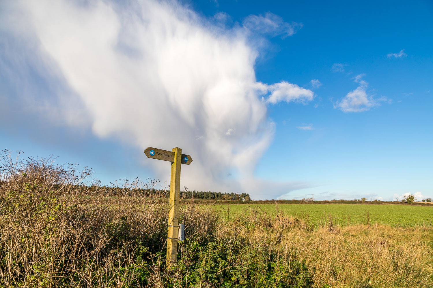 The Burnhams walk The Burnhams walk