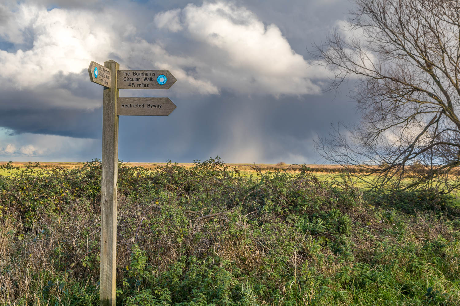 The Burnhams walk The Burnhams walk