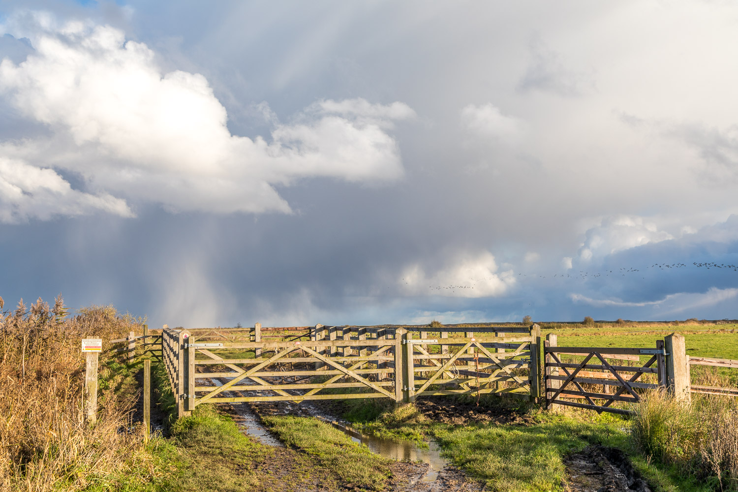 Norton Marsh Norton Marsh