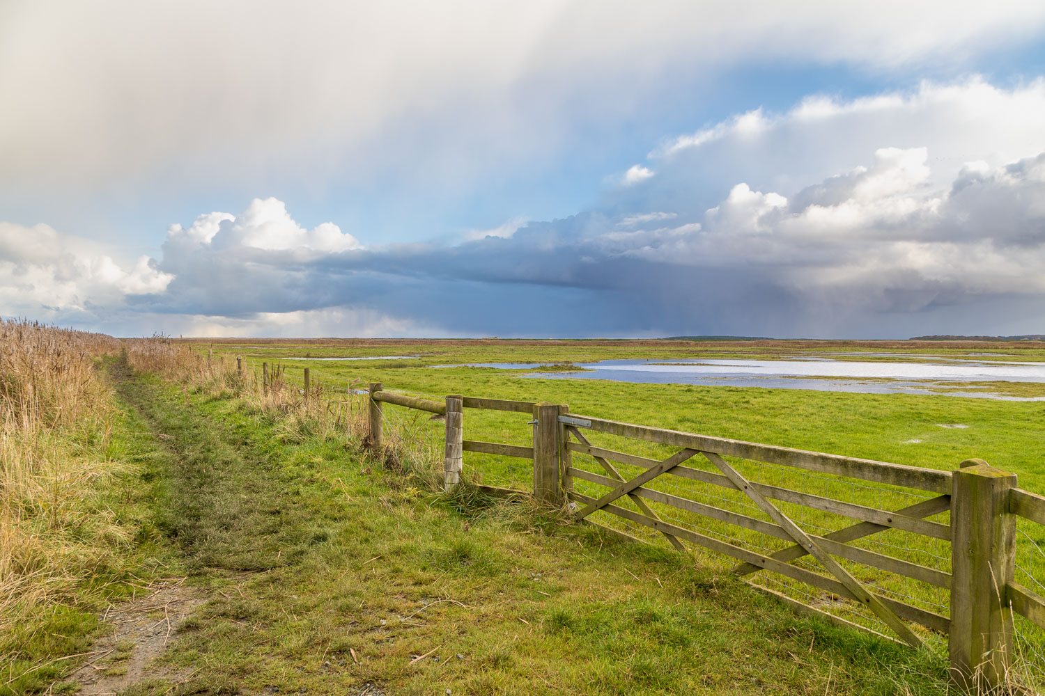 Norton Marsh Norton Marsh