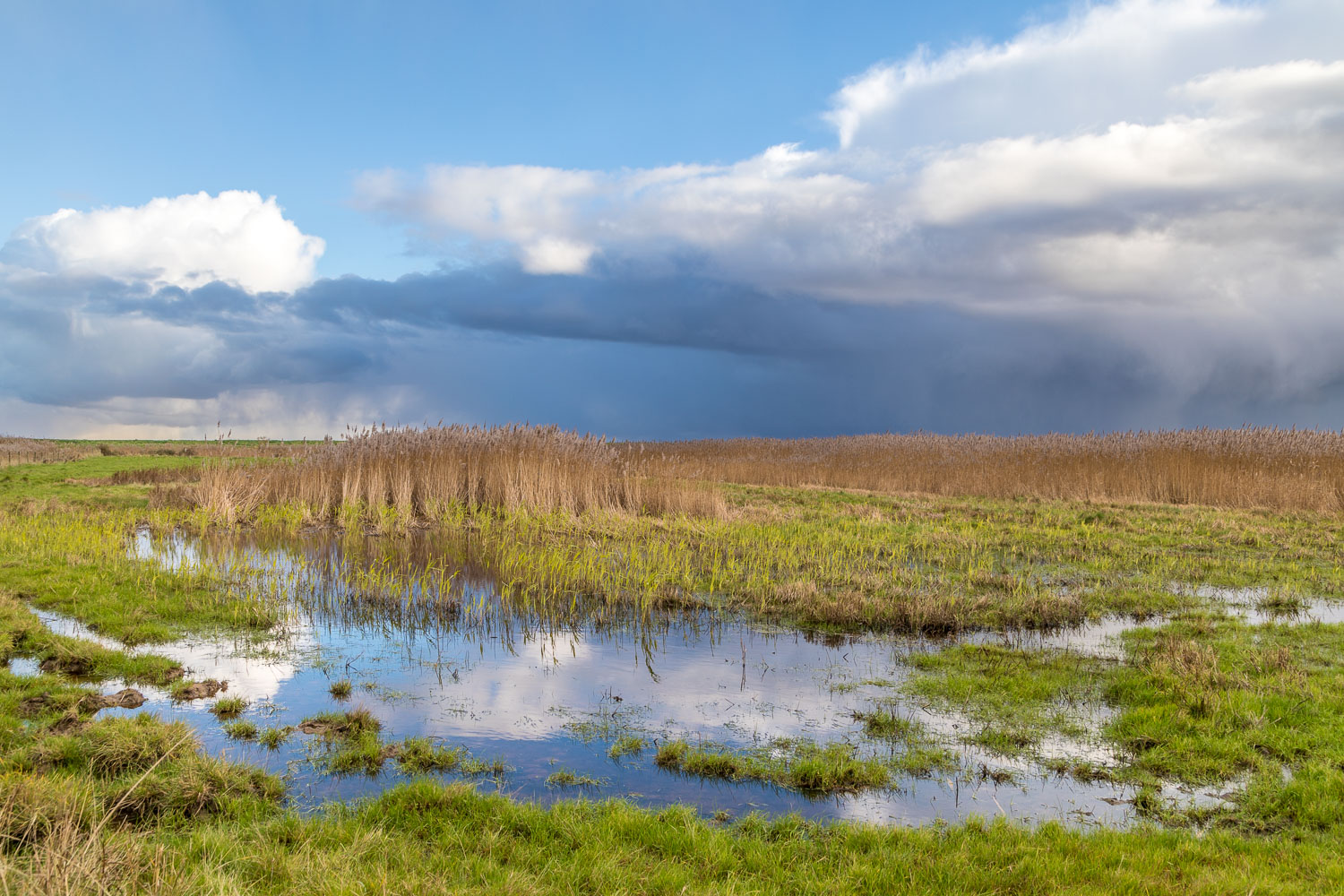Norton Marsh Norton Marsh