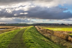 The Burnhams walk