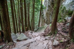 The Chief, Stawamus Chief