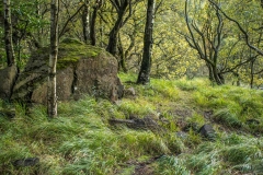 Thirlmere walk