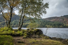 Thirlmere walk