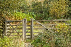 Thirlmere walk