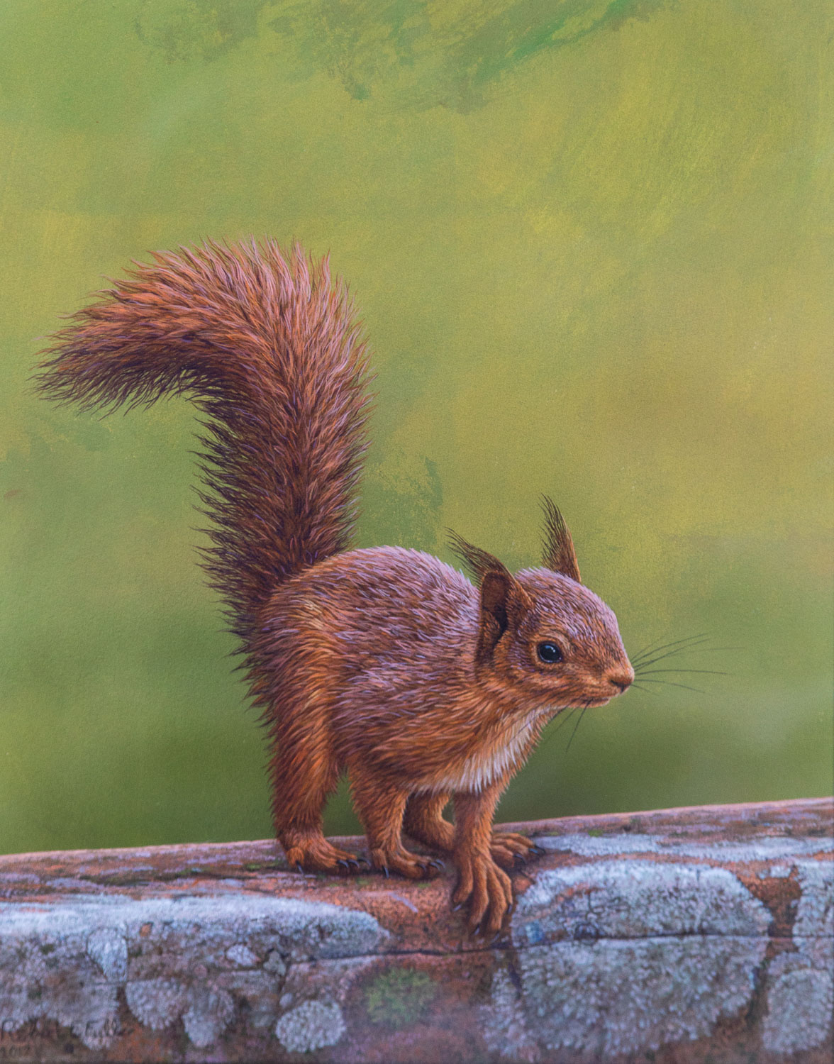 Robert Fuller red squirrel painting