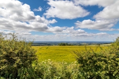 Thixendale walk, Vale of York