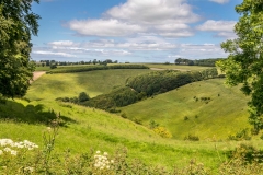 Thixendale walk, Painsthorpe Dale