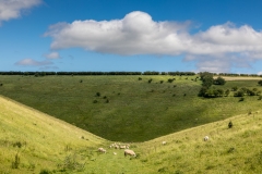 Thixendale walk, Thixen Dale