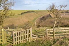 Thixendale-4-16