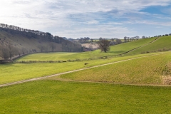 Thixendale-4-34
