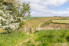 Vessey Pasture Dale