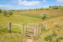 Vessey Pasture Dale