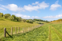 Vessey Pasture Dale