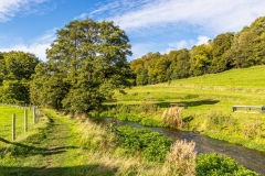 Thornton Beck