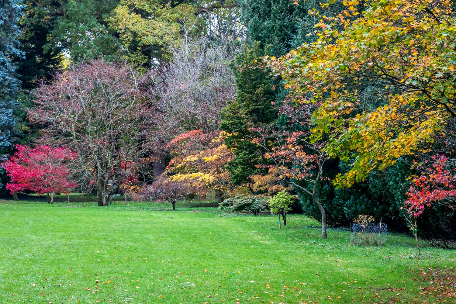 Thorp Perrow acers