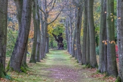 Thorp Perrow Arboretum