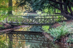 Thorp Perrow walk